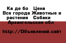 Ка де бо › Цена ­ 25 - Все города Животные и растения » Собаки   . Архангельская обл.